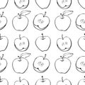 Vector seamless pattern with outline apples in doodle. Fruit background and texture, isolated