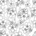 Vector seamless pattern with outline blooming Apricot flower bunch, branch and ornate leaves in black on the white background. Royalty Free Stock Photo