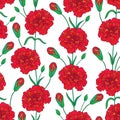 Vector seamless pattern with outline Carnation or Clove flowers, bud and leaves in red and green on the white background. Royalty Free Stock Photo