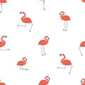 Vector seamless pattern of outline cartoon pink peach flamingos isolated on white background. Doodle animal is active, dancing, Royalty Free Stock Photo