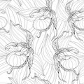 Vector seamless pattern with outline Cypripedium calceolus or Lady`s-slipper orchid and leaves on the white background.