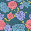 Vector seamless pattern with outline decorative roses. Beautiful floral background, neutral texture. Can be used for textile, Royalty Free Stock Photo