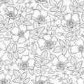 Vector seamless pattern with outline Dog rose or Rosa canina. Flower, hips and leaves on the white background. Rosehip pattern.