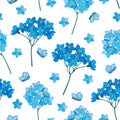 Vector seamless pattern with outline Forget me not or Myosotis flower, bunch and bud in blue on the white background. Royalty Free Stock Photo