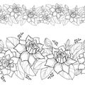 Vector seamless pattern with outline Gardenia. Ornate flower, bud and leaves in black on the white background. Floral border. Royalty Free Stock Photo