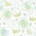 Vector seamless pattern with outline Linden or Tilia or Basswood flower bunch, bract, fruit and ornate leaf in pastel green.