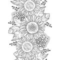 Vector seamless pattern with outline open Sunflower or Helianthus flower and leaves on the white background. Floral pattern.