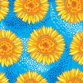 Vector seamless pattern with outline open Sunflower or Helianthus flower in yellow and orange on the blue background. Royalty Free Stock Photo