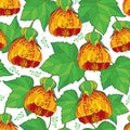 Vector seamless pattern with outline orange Abutilon or Indian mallow flower and ornate green leaf on the white background.