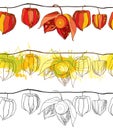 Vector seamless pattern with outline Physalis or Cape gooseberry or Ground cherry fruit isolated on white background.