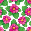 Vector seamless pattern with outline pink Primula or Primrose flower and green leaves on the white background.