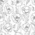 Vector seamless pattern with outline Poppy flower, bud and leaves in black on the white background. Monochrome floral pattern. Royalty Free Stock Photo