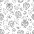 Vector seamless pattern with outline Raspberry with berry, flowers and foliage in black on the white background.