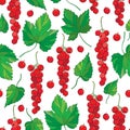 Vector seamless pattern with outline Red currant berry bunch and green leaves on the white background. Background with red berry.