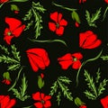 Vector seamless pattern with outline red Poppy flower, bud and green leaves on the black background. Elegance floral background Royalty Free Stock Photo