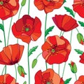 Vector seamless pattern with outline red Poppy flower, bud and green leaves on the white background. Elegance floral background. Royalty Free Stock Photo