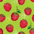 Vector seamless pattern with outline red Raspberry and drops on the green background. Floral background with Raspberry. Royalty Free Stock Photo