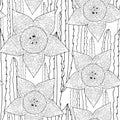 Vector seamless pattern with outline Stapelia flower and stems in black on the white background.