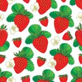 Vector seamless pattern with outline Strawberry. Red berry, flowers and green leaf on the white background. Floral background. Royalty Free Stock Photo