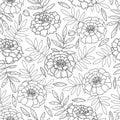 Vector seamless pattern with outline Tagetes or Marigold flower and leaves in black on the white background.