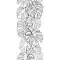 Vector seamless pattern with outline tropical Monstera or Swiss cheese plant leaf bunch in black on the white background. Royalty Free Stock Photo