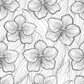 Vector seamless pattern with outline Vanda orchid flower and leaves on the white background. Floral pattern with Vanda flower.