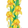 Vector seamless pattern with outline yellow Iris flower, bud and green leaf on the white background. Floral background with Iris. Royalty Free Stock Photo