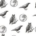 Vector seamless pattern with owl, raven and moon in engraving style. Hand drawn texture with Halloween symbols isolated on white