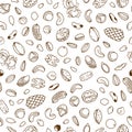 Vector seamless pattern, packaging design of nut and seed mix or snack. Walnut, peanut and sunflower seeds. Almond