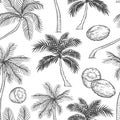 Vector seamless pattern of palm. Different black white kinds of tropical palmtrees and coconut. Contour sketch