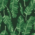 Vector seamless pattern with palm leaves. Graphic stylized drawing.