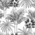 Vector seamless pattern of palmtrees. Different black white kinds of tropical palm contour sketch background monochrome