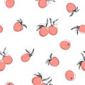 Vector seamless pattern with peaches isolated on white. Hand-drawn texture with fresh fruits Royalty Free Stock Photo