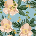 Vector seamless pattern with peony flowers. Royalty Free Stock Photo