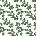 vector seamless pattern with peppermint flowers