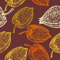 Seamless pattern with branches physalis. Skeleton winter cherry with berry vector seamless background.