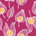 Seamless pattern with branches physalis. White skeleton winter cherry with berry vector seamless background.