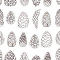 Vector seamless pattern with pine cones Royalty Free Stock Photo