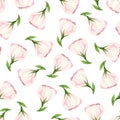 Seamless pattern with pink lisianthus flowers on white. Vector illustration. Royalty Free Stock Photo