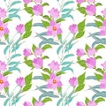 Vector seamless pattern with pink magnolia flowers