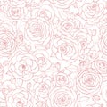 Vector seamless pattern with pink rose flowers and leaves outline on white background. Vintage floral ornament Royalty Free Stock Photo