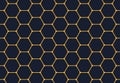 Vector seamless pattern with polygons. Linear geometric texture. Hexagonal abstract background. Polygonal grid with bold