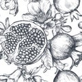 Vector seamless pattern with pomegranate fruits, flowers, branches. Royalty Free Stock Photo