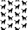 Vector seamless pattern of poodle dog silhouette Royalty Free Stock Photo