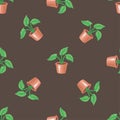 Vector seamless pattern with pot and plant on a brown background. Stylish homely backdrop for textiles and any other design.