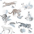 Vector seamless pattern with predatory wild cats, tigers, leopards, cheetahs