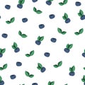 Vector seamless pattern, print, texture with blueberries and leaves