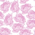 Vector seamless pattern,print,texture with hand drawn flowers on the transparent background. Pink pions contours.