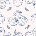 Vector seamless pattern with Pumpkin. Hand drawn textures Royalty Free Stock Photo