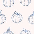 Vector seamless pattern with Pumpkin. Hand drawn textures Royalty Free Stock Photo